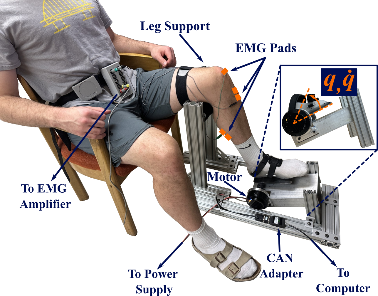 Motorized Stretching Device